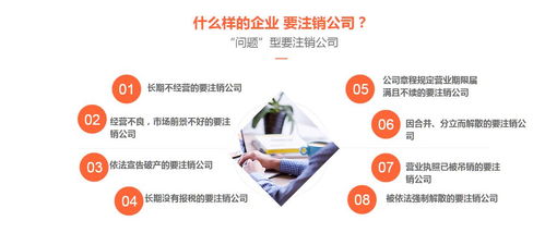 南昌市公司注銷報告與商務(wù)代理代辦服務(wù)指南